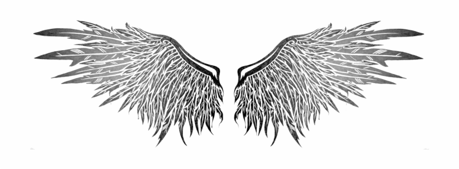 920x340 Angel Wings Png Transparent