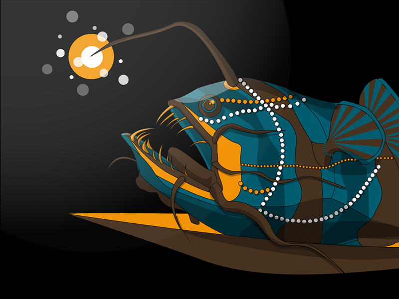 800x600 Angler Fish