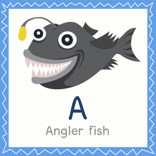 Anglerfish Vectors, Photos And Free Download 626x625 Anglerfish Vectors, Photos And Free Download