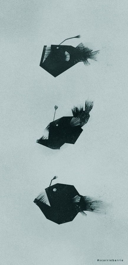 434x900 Different Types Of Angler Fish Yikes O O! Illustration Fish