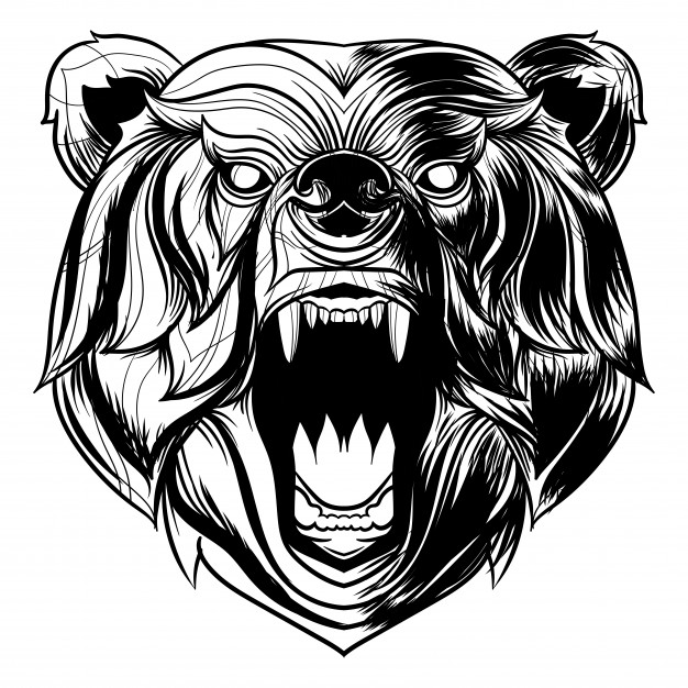626x626 Angry Bear Vector Vectors, Photos And Free Download