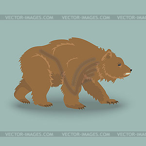 300x300 Kodiak Angry Bear