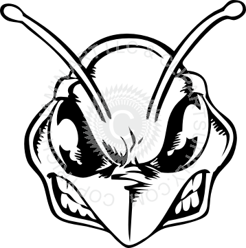 358x361 Angry Bee Head Looking Down