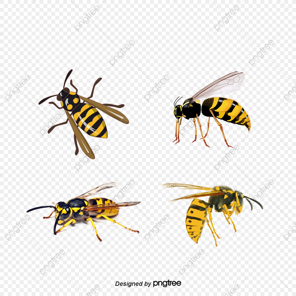 1200x1200 Angry Bee, Bee Clipart, Bee Venom, Honeybee Png And Vector