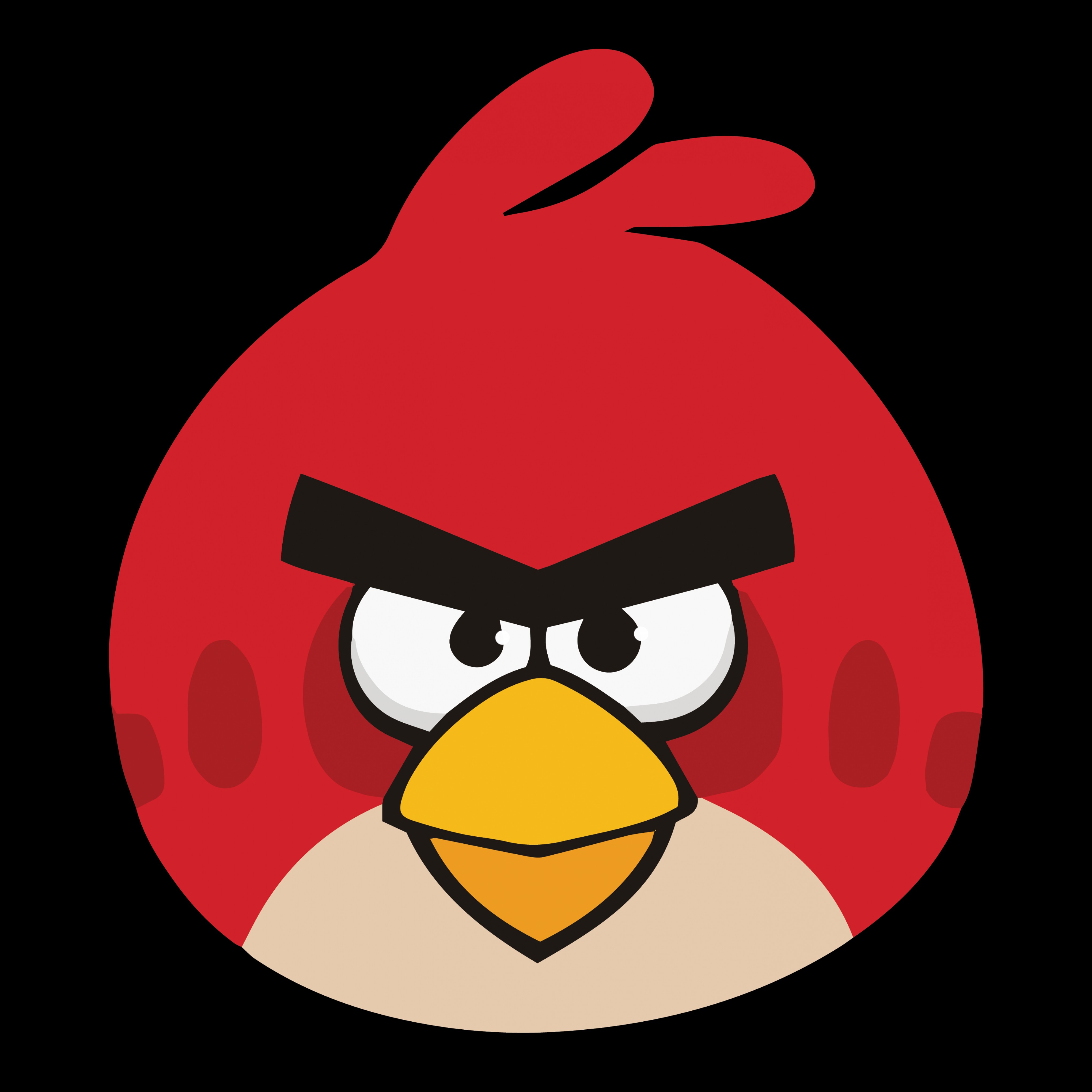 4080x4080 Angry Birds Vector Handandbeak