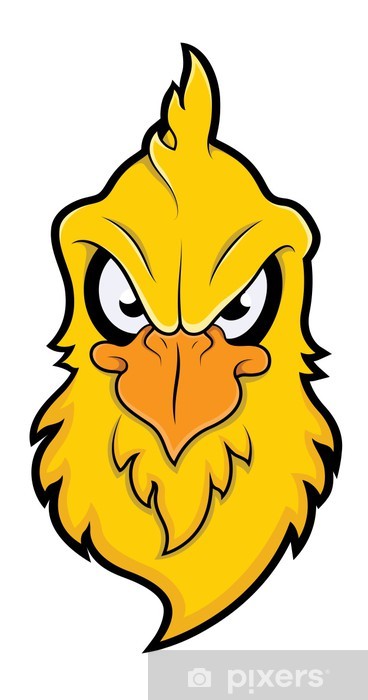 368x700 Angry Bird Vector Wall Mural