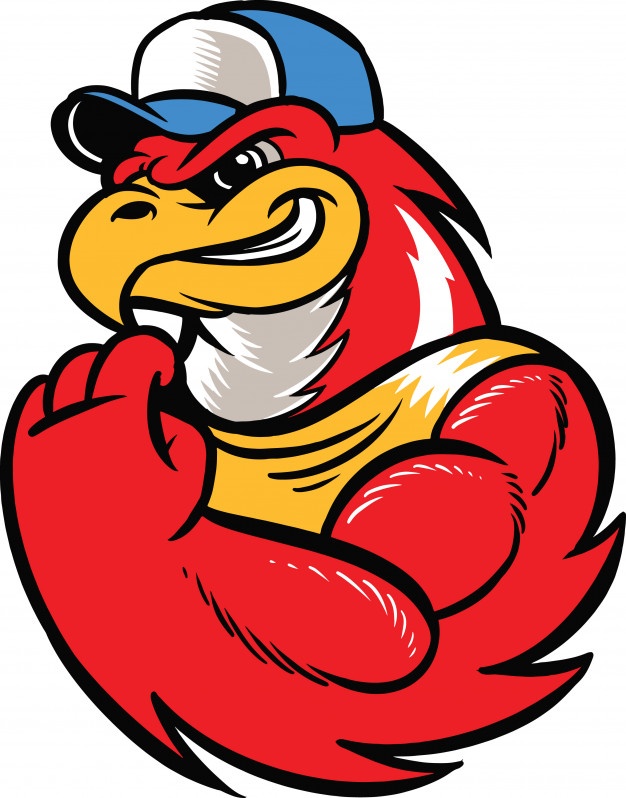 626x798 Angry Birds Character Vectors, Photos And Free Download