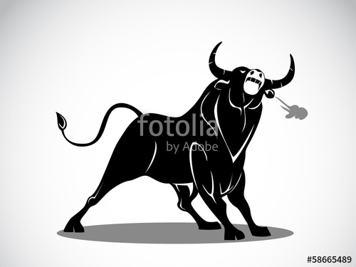 500x375 Angry Bull Stock Image And Royalty Free Vector On Fotolia