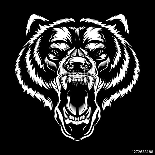 500x500 Angry Bear Face Vector Illustration Furious Angry Face Of Bear