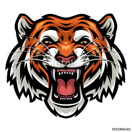 500x500 Angry Tiger Face Vector Stock Image And Royalty Free Vector