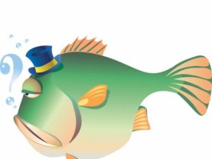 310x233 Green Angry Fish Vector Free Vectors Ui Download