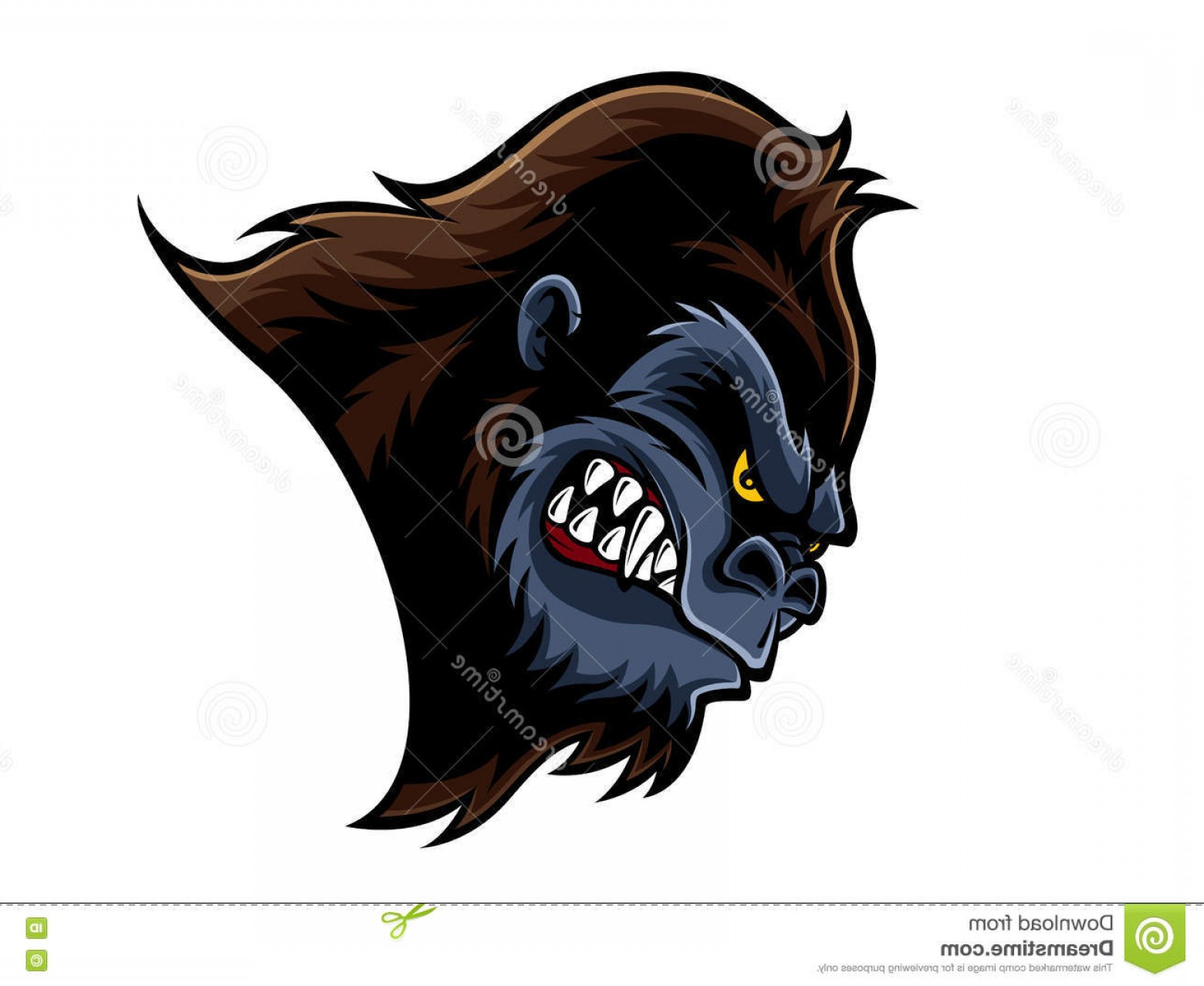 1560x1278 Stock Illustration Angry Gorilla Head Cartoon Who Was Very Staring