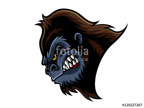 500x375 Angry Gorilla Head Stock Image And Royalty Free Vector