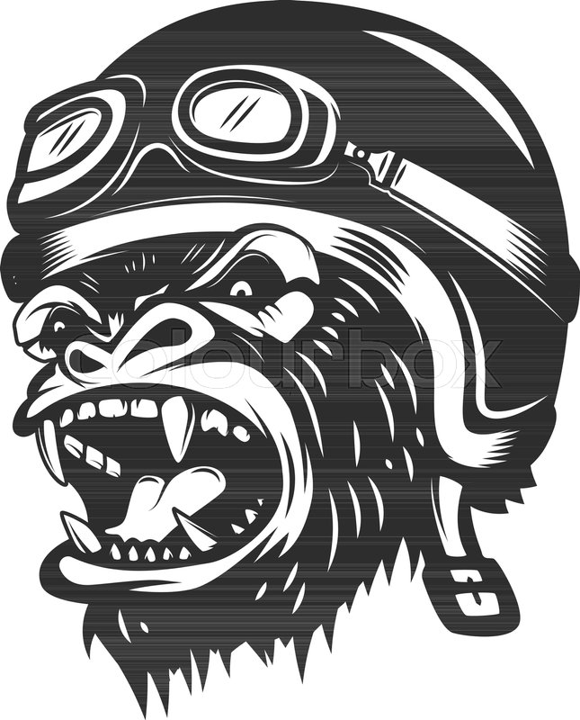 645x800 Angry Gorilla Ape In Racer Helmet Stock Vector Colourbox