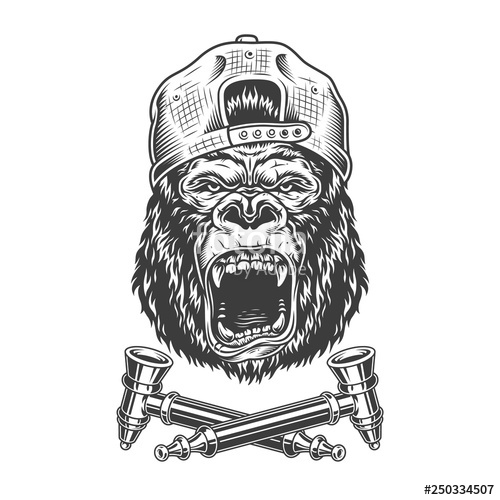 500x500 Angry Gorilla Head In Hipster Cap Stock Image And Royalty Free