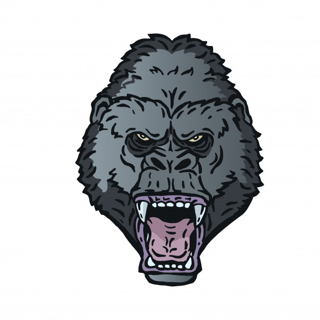 626x626 Angry Gorilla Head Logo Character Illustration Vector Premium