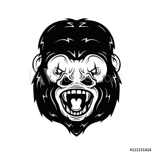 500x500 Angry Gorilla Head Vector Illustration Isolated On White