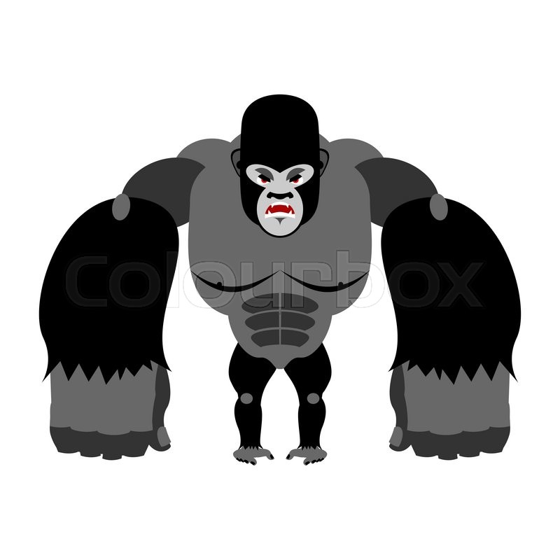 800x800 Angry Gorilla On Its Hind Legs Stock Vector Colourbox