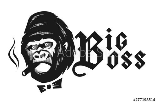 500x330 Big Boss Angry Gorilla With A Cigar Vector Illustration