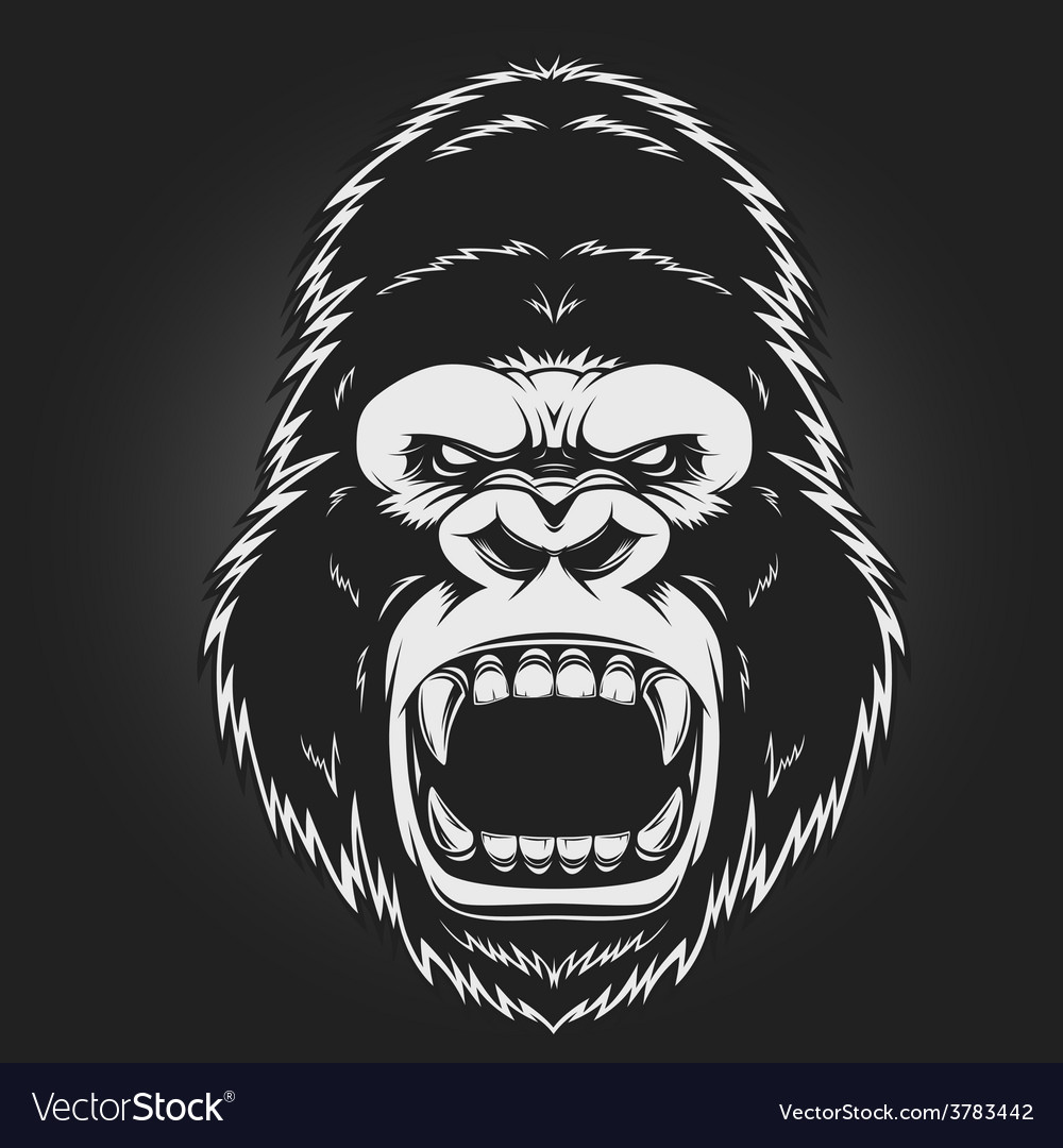 1000x1080 Collection Of 'angry Gorilla Drawing' Download More Than
