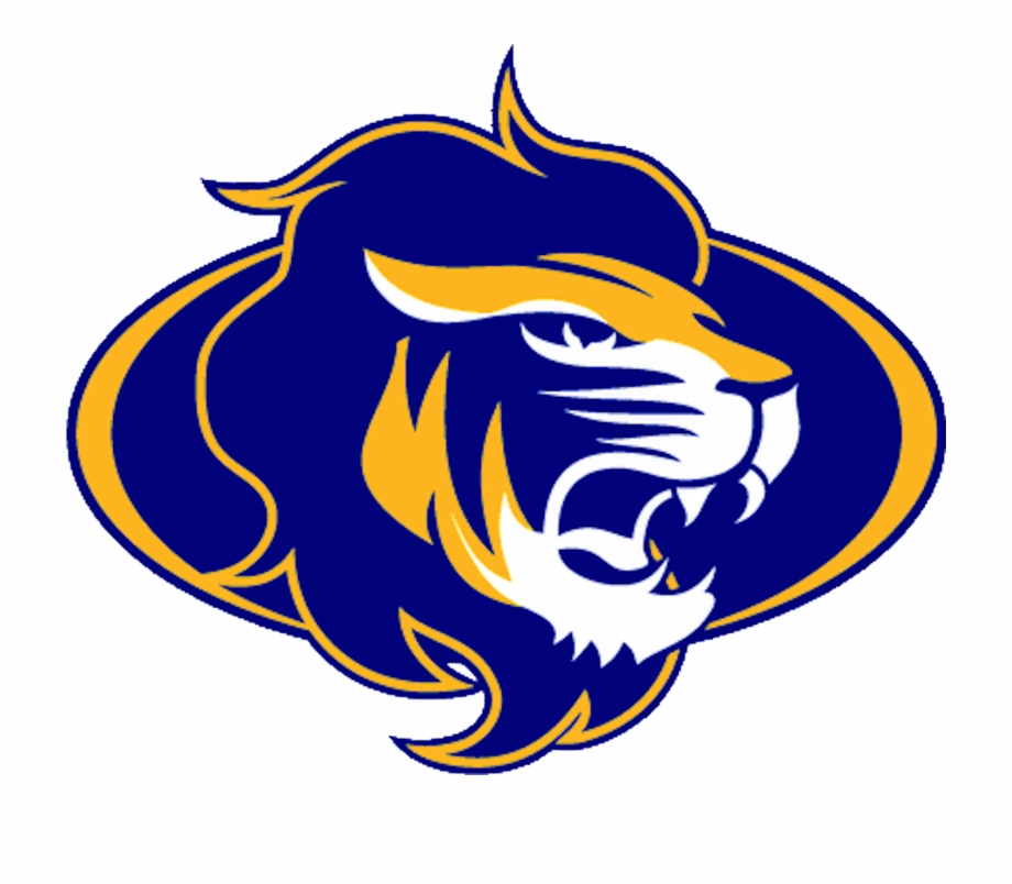 920x804 Lion Vector Angry