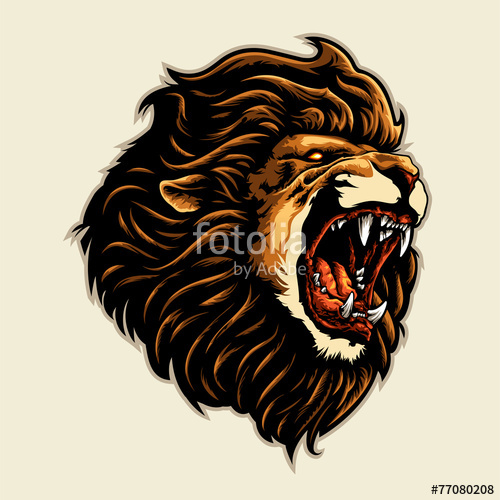 500x500 Angry Lion Head Stock Image And Royalty Free Vector