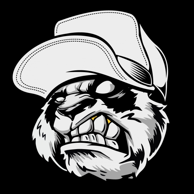 640x640 Angry Panda Head Wearing A Hat Vector Hand Drawing Shirt Designs