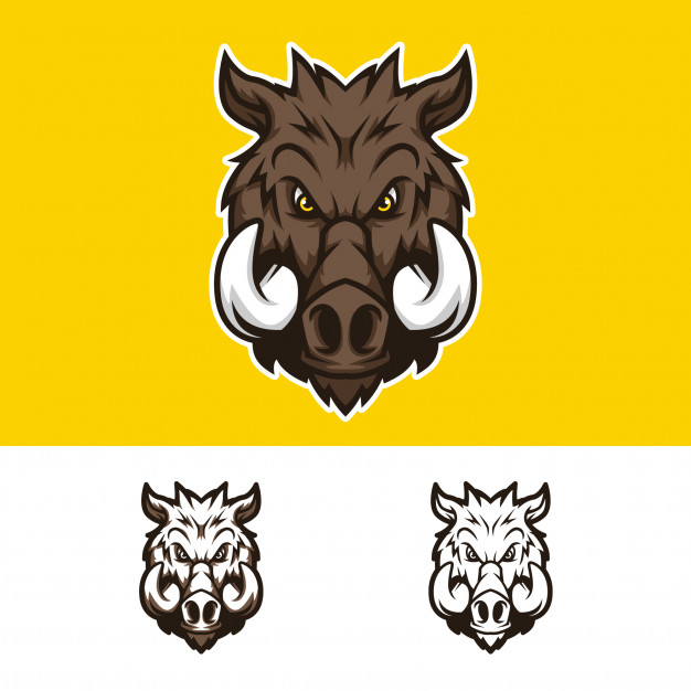626x626 Angry Pig Head Mascot Logo Vector Premium Download
