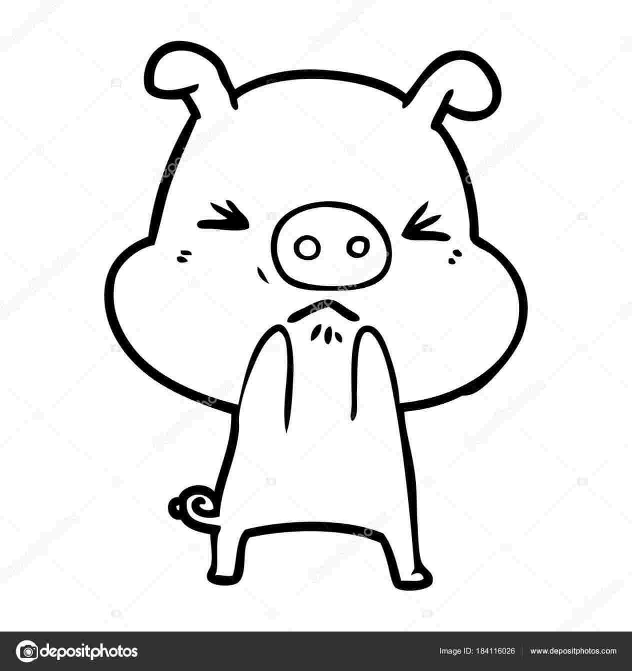 1264x1343 Vector Cute Angry Pig Drawing Illustration Cartoon U Stock