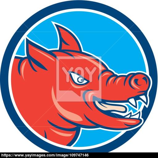 512x511 Angry Pig Head Circle Cartoon Vector