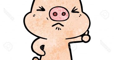 367x195 Angry Pig Vector Archives