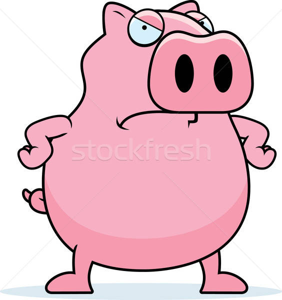 564x600 Angry Pig Vector Illustration Cory Thoman