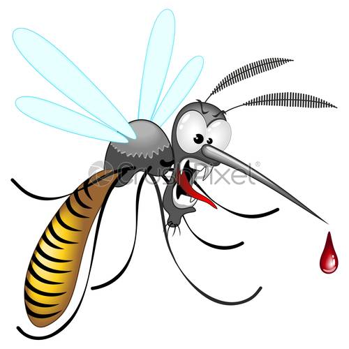 500x500 Mosquito Funny And Angry Vector Cartoon Character, Stock Vector