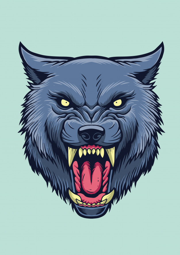 626x885 Angry Wolf Head Illustration Vector Premium Download