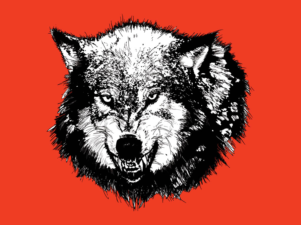 1024x765 Angry Wolf Head Graphics Vector Art Graphics