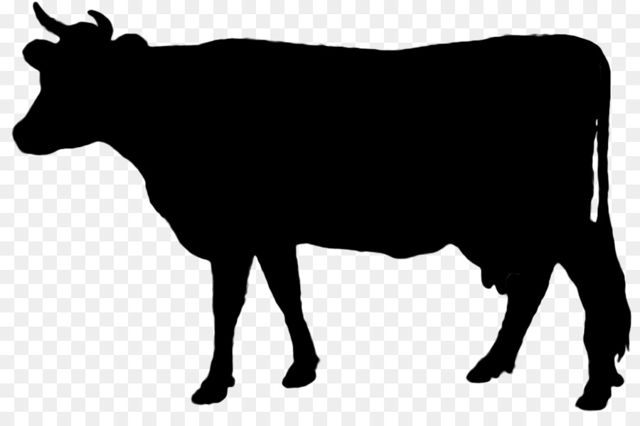 900x600 Angus Cattle Vector Graphics Texas Longhorn English Longhorn Clip