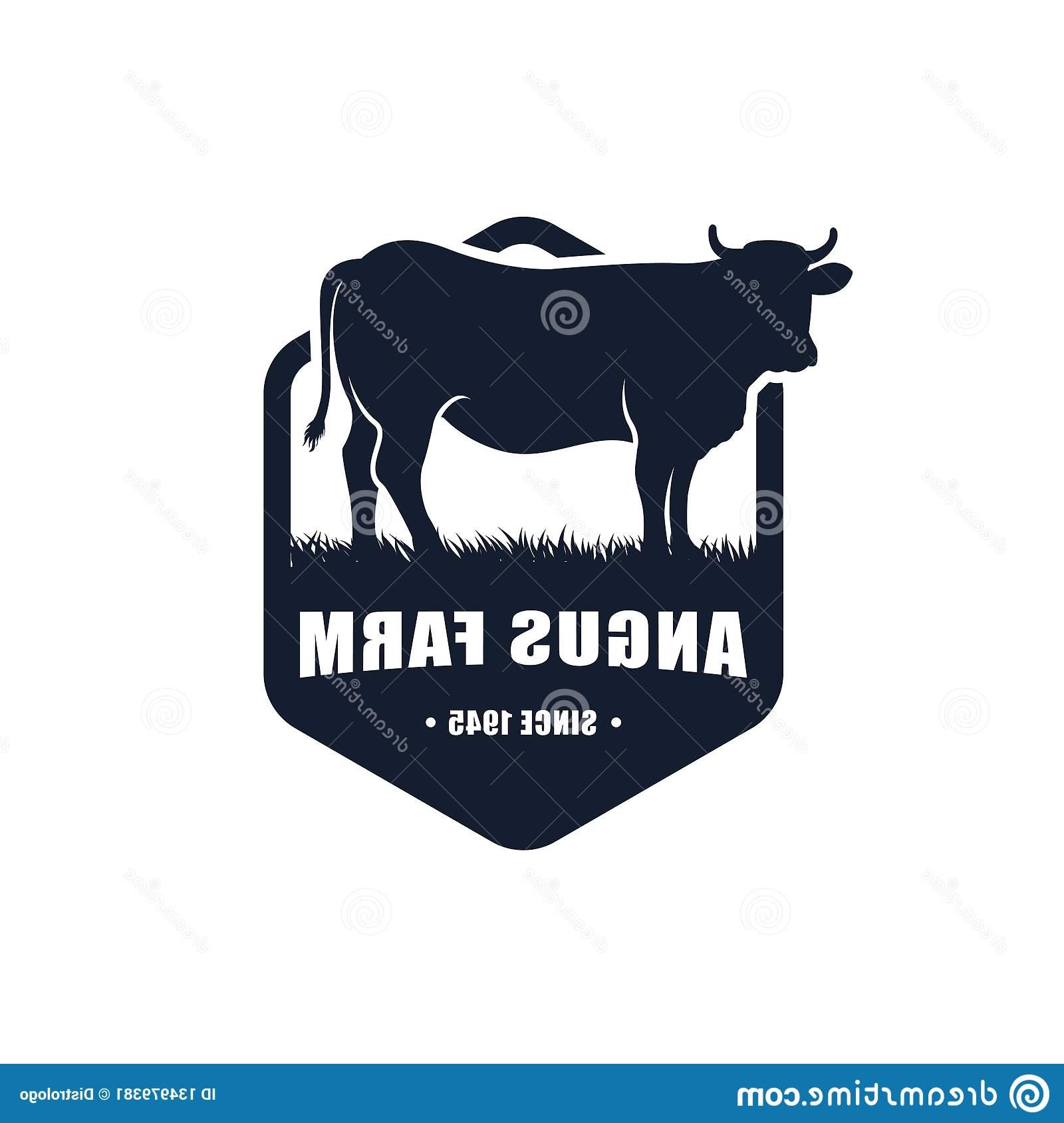 1600x1689 Best Hd Angus Cattle Vector Photos Vector Images Design