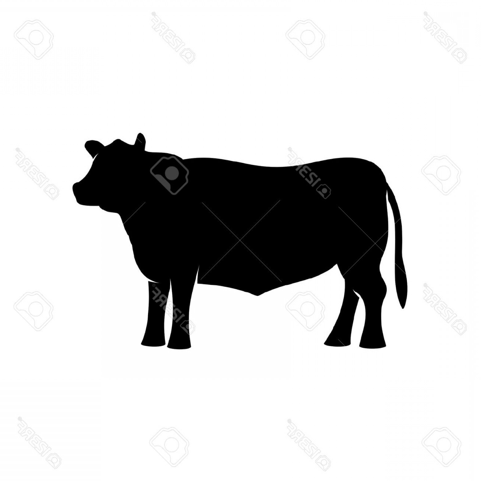 1560x1560 Photoblack Angus Beef Bull Standing Silhouette Hoodamathrun