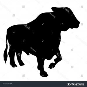 300x300 Vector Black Angus Bull Marble Beef Hoodamathrun