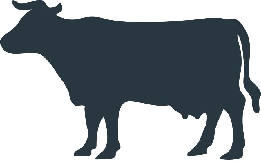 107 Cattle vector images at Vectorified.com