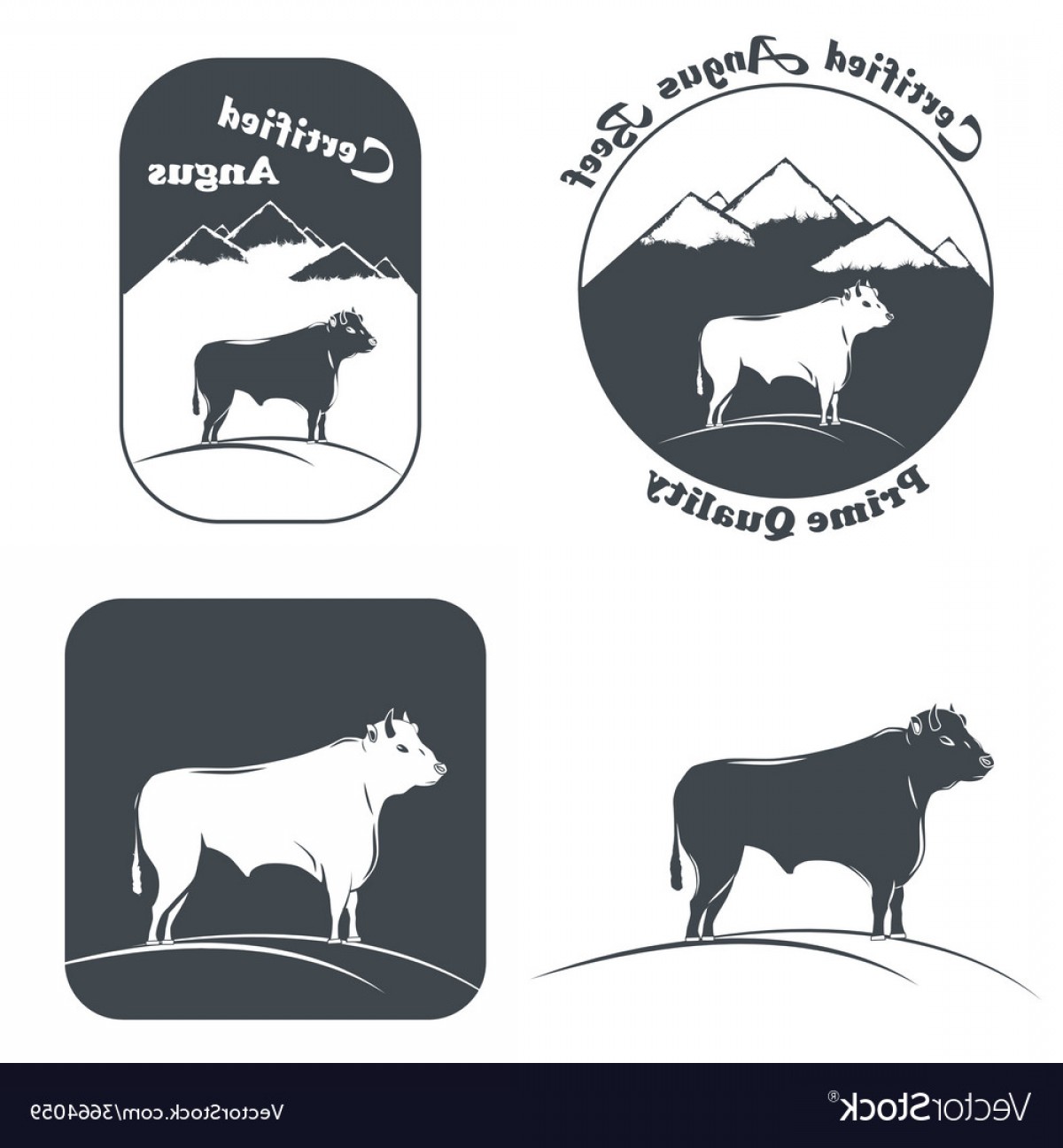 1200x1296 Angus Bull In White And Black Vector Hoodamathrun