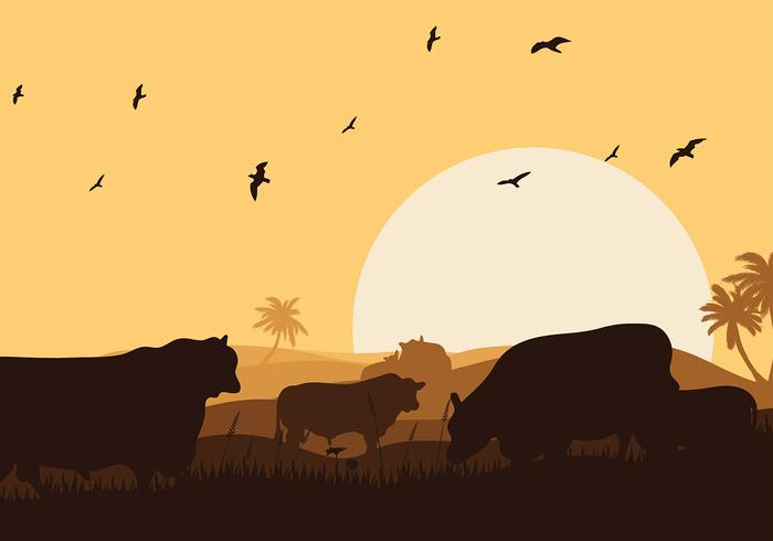 Angus Vector At Vectorified.com | Collection Of Angus Vector Free For ...