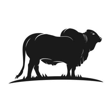 360x360 Angus Png, Vector, And Clipart With Transparent Background