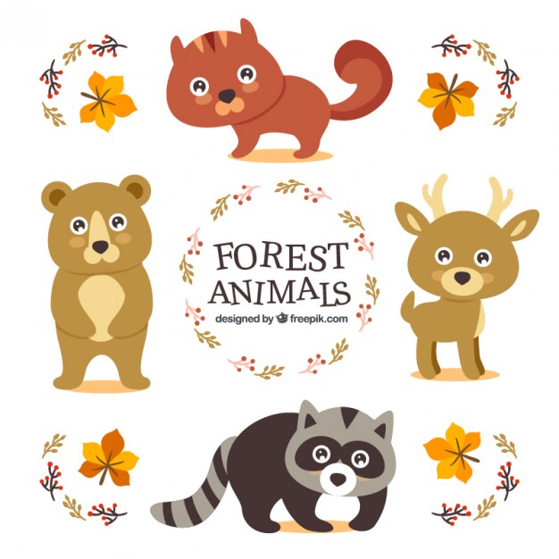 Cute Wild Animals With Bright Eyes Vector Free Download 626x626 Cute Wild Animals With Bright Eyes Vector Free Download