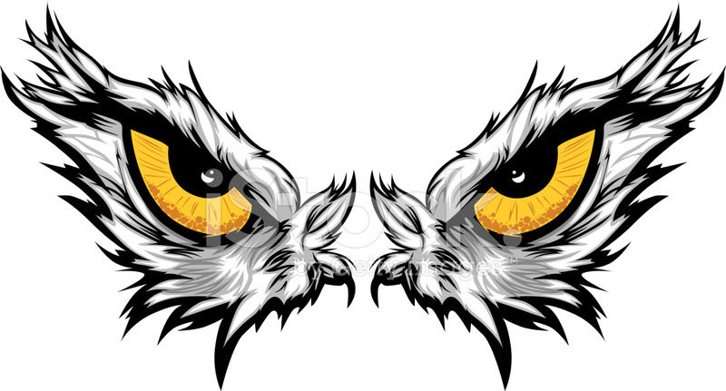 Eagle Eyes Vector Illustration Stock Vector 800x431 Eagle Eyes Vector Illustration Stock Vector