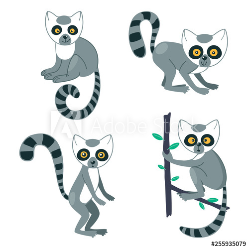 Lemur Cute Set Funny Animal Characters With Striped Tails And Big 500x500 Lemur Cute Set Funny Animal Characters With Striped Tails And Big