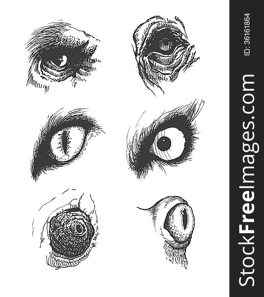 Set Of Vector Animal Eyes Hand Drawn 534x600 Set Of Vector Animal Eyes Hand Drawn