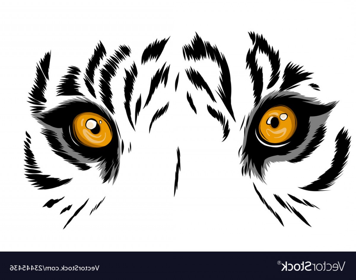 Download Animal Eyes Vector at Vectorified.com | Collection of Animal Eyes Vector free for personal use
