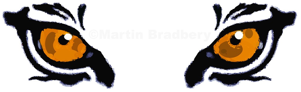 Animal Eye Clipart 1024x314 Animal Eye Clipart