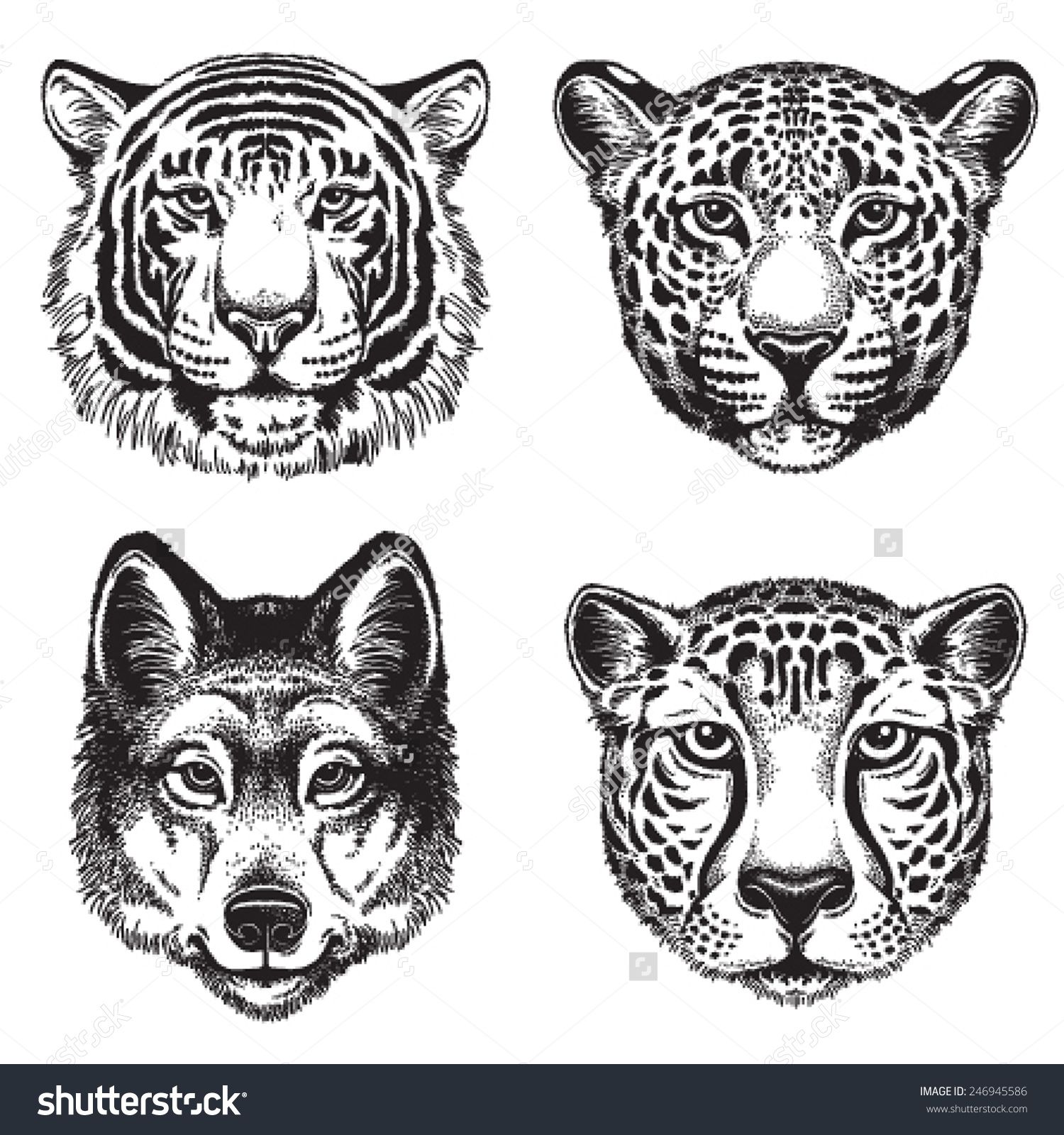 1500x1600 Black And White Vector Line Drawings Of Wild Animal Faces Cheetah